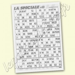 La spéciale x 12 avec les 2 fois les 90 numéros, sur fond bleu - Palais du Loto.