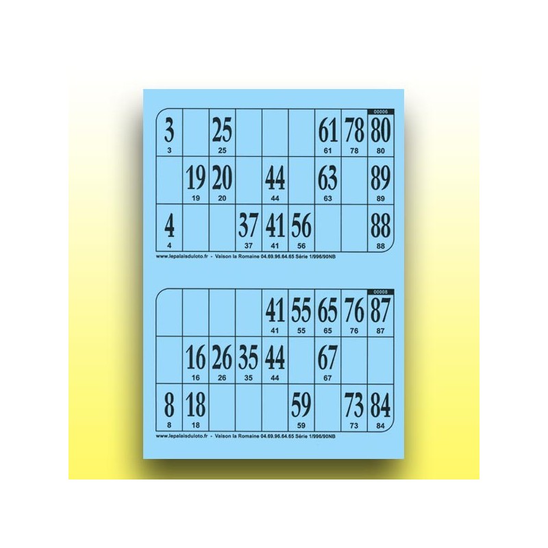 500 plaques de 2 cartons de loto au Palais du Loto