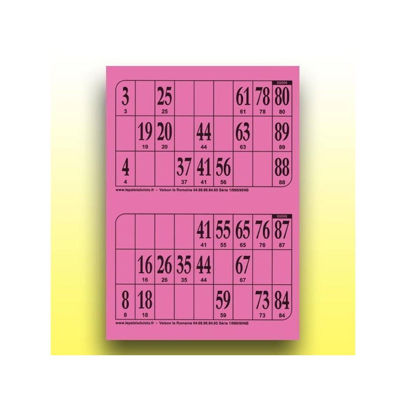 500 plaques de 2 cartons de loto au Palais du Loto