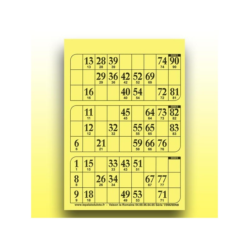 333 plaques de 3 cartons de loto au Palais du Loto