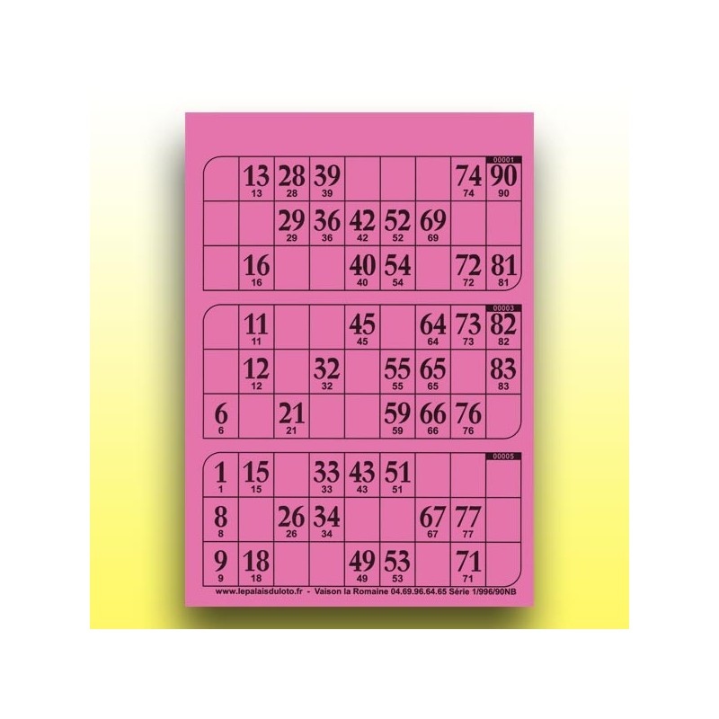 333 plaques de 3 cartons de loto au Palais du Loto