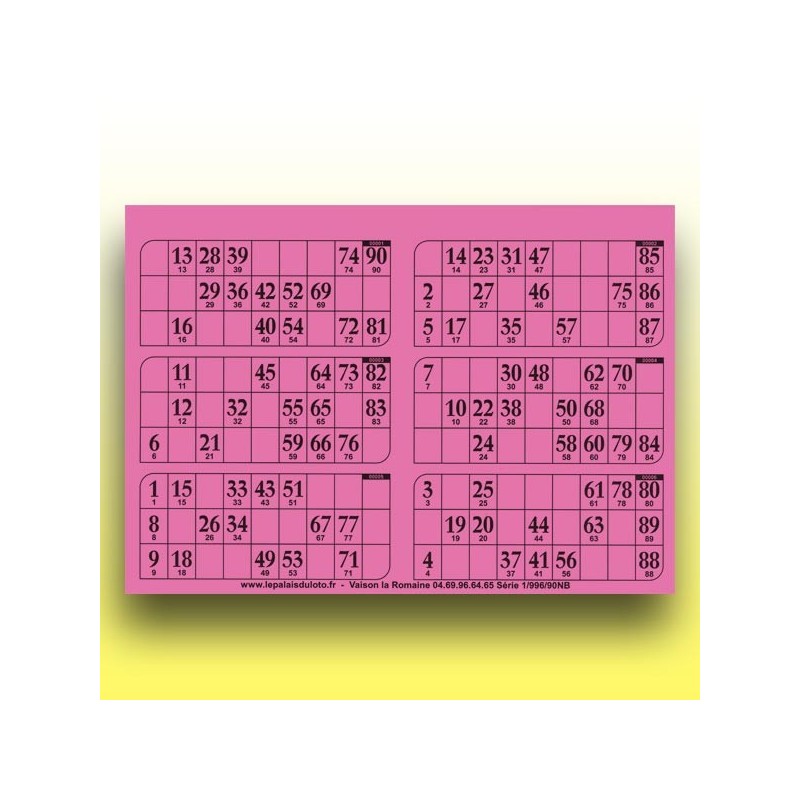 166 plaques de 6 cartons de loto (90 numéros)  au Palais du Loto