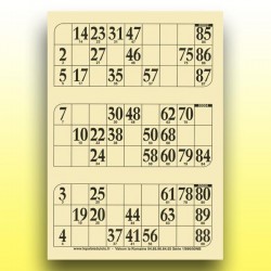 Plaque de 8 cartes de loto épaisseur 1 mm - coloris aléatoire - Autre jeu  de plein air - Achat & prix