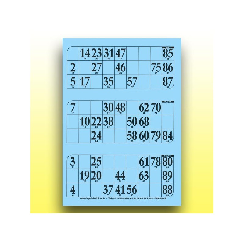 333 grandes plaques de 3 cartons de loto au Palais du Loto