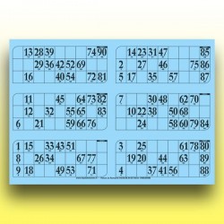 166 grandes plaques de 6 cartons de loto (90 numéros) au Palais du Loto