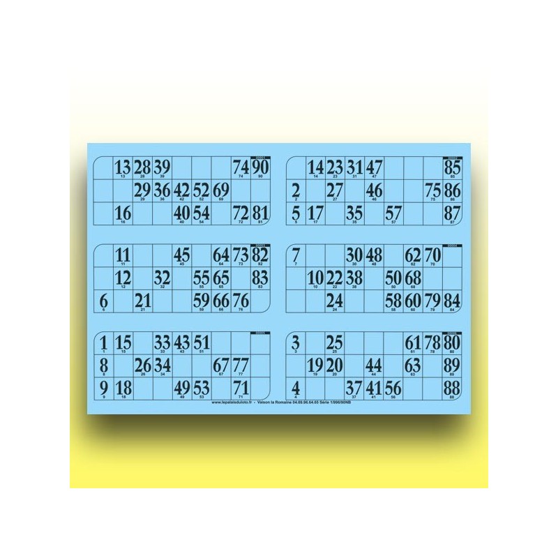 166 grandes plaques de 6 cartons de loto (90 numéros) au Palais du Loto