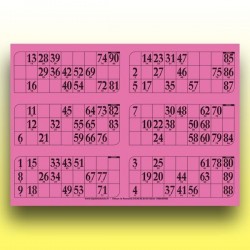 166 grandes plaques de 6 cartons de loto (90 numéros) au Palais du Loto