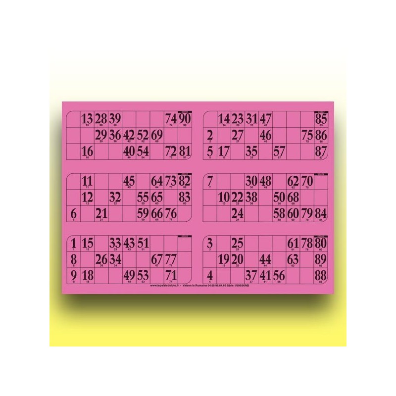 166 grandes plaques de 6 cartons de loto (90 numéros) au Palais du Loto