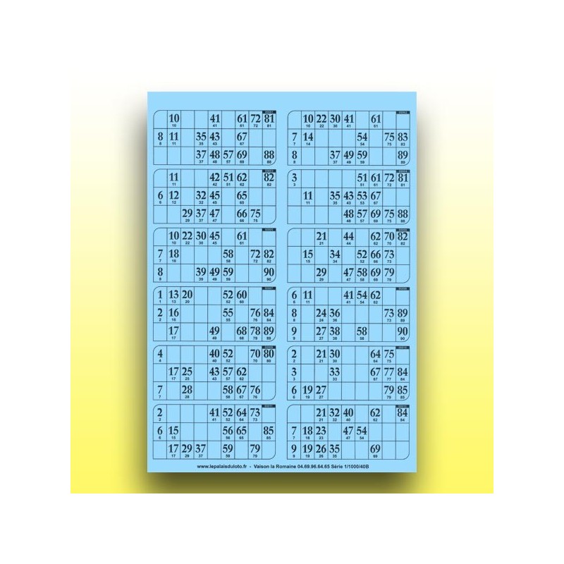 83 plaques de 12 cartons de loto (numérotation aléatoire) au Palais du Loto