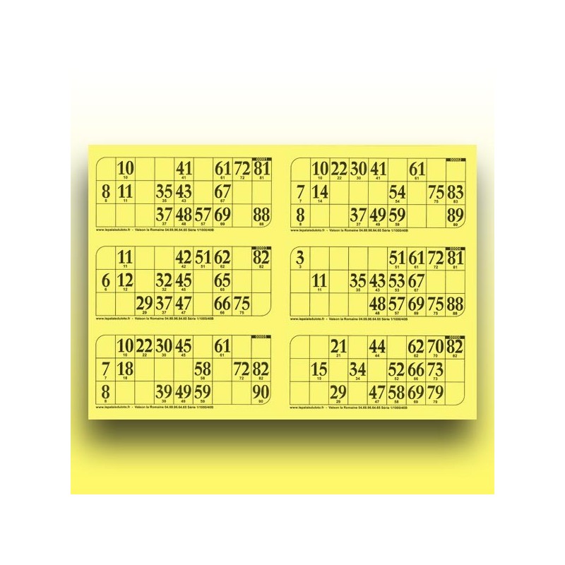 166 grandes plaques de 6 cartons de loto (numérotation aléatoire) au Palais du Loto