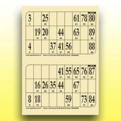 500 plaques de 2 cartons de loto 250 g au Palais du Loto