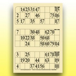 333 plaques de 3 cartons de loto 250 g au Palais du Loto