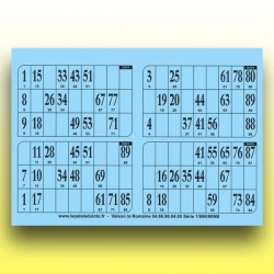 250 plaques de 4 cartons de loto 250 g au Palais du Loto