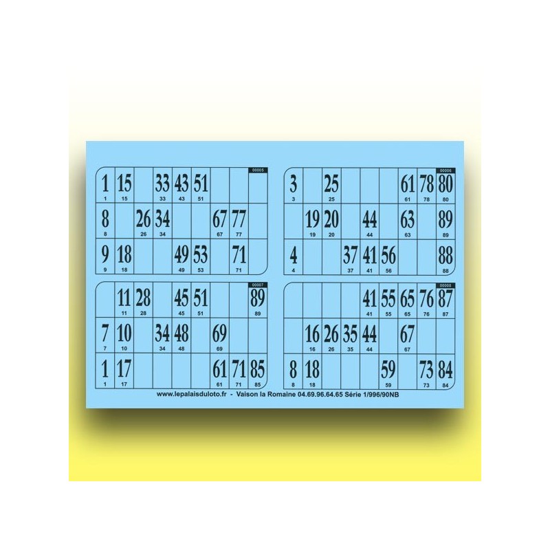 250 plaques de 4 cartons de loto 250 g au Palais du Loto