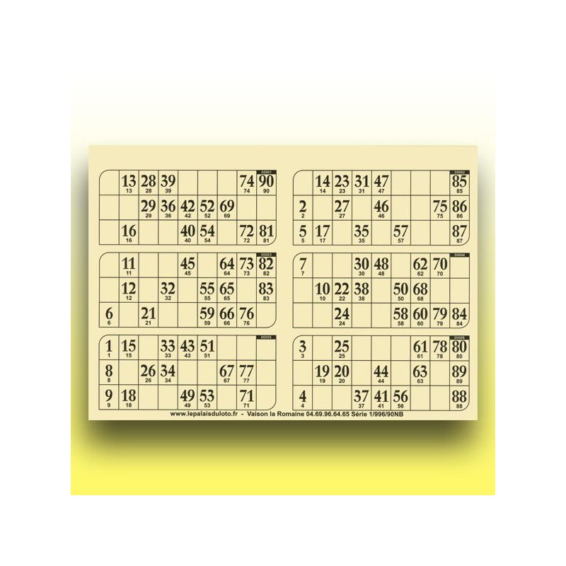 166 plaques de 6 cartons de loto 250 g (90 numéros) au Palais du Loto