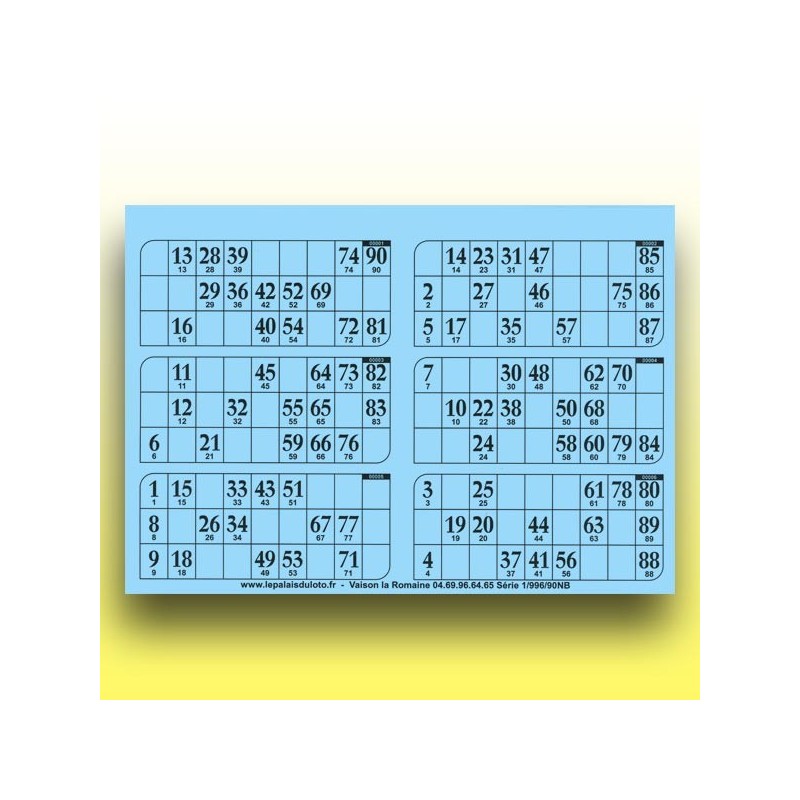 166 plaques de 6 cartons de loto 250 g (90 numéros) au Palais du Loto