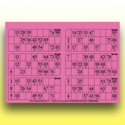 166 grandes plaques de 6 cartons de loto 250 g (90 numéros) au Palais du Loto