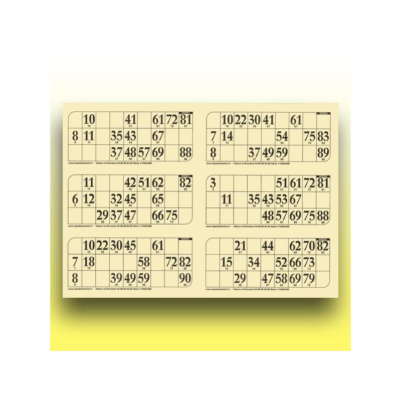 166 grandes plaques de 6 cartons de loto 250 g (numérotation aléatoire) au Palais du Loto