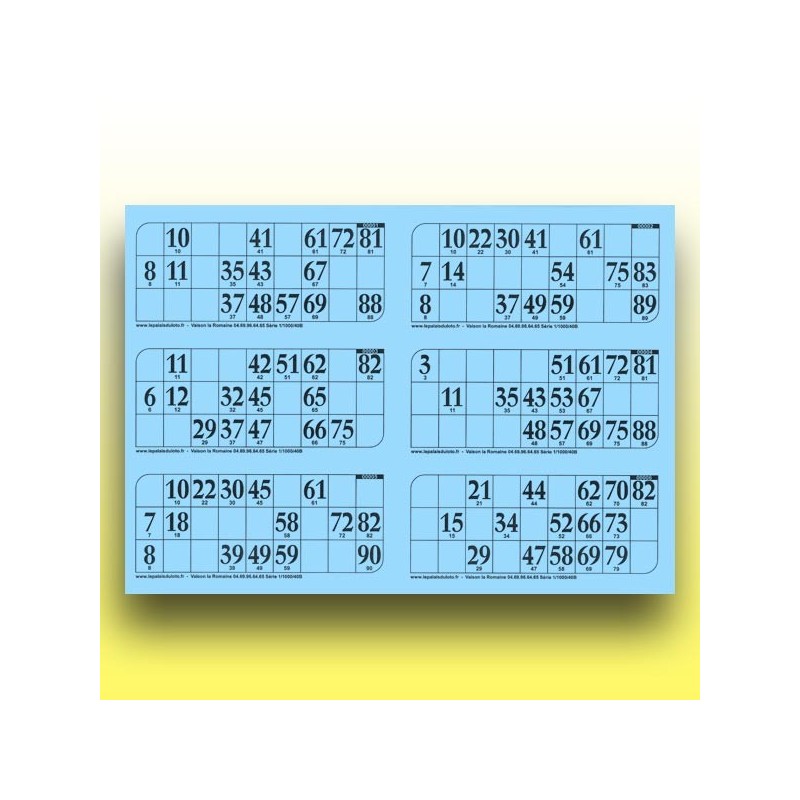166 grandes plaques de 6 cartons de loto 250 g (numérotation aléatoire) au Palais du Loto