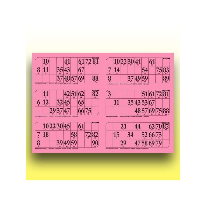 166 grandes plaques de 6 cartons de loto 250 g (numérotation aléatoire) au Palais du Loto
