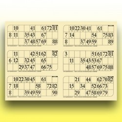 166 plaques de 6 cartons de loto 250 g (numérotation aléatoire) au Palais du Loto