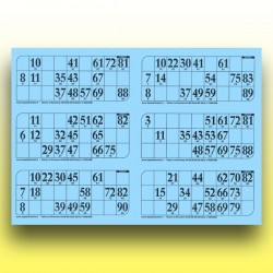 166 plaques de 6 cartons de loto 250 g (numérotation aléatoire) au Palais du Loto