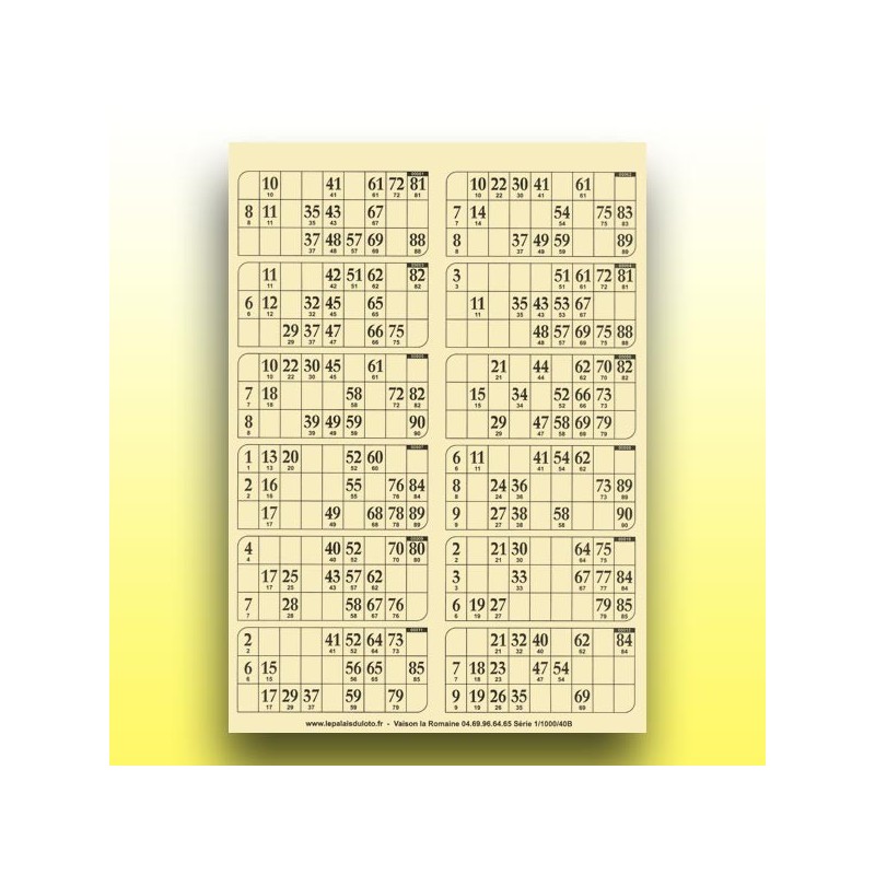 83 plaques de 12 cartons de loto 250 g (numérotation aléatoire) au Palais du Loto