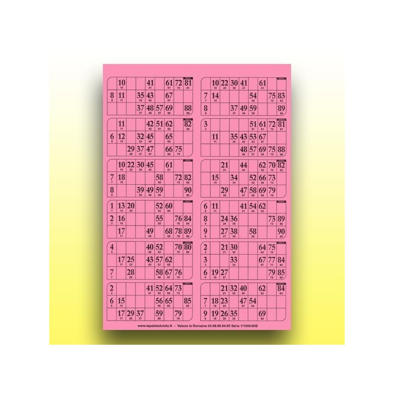 83 plaques de 12 cartons de loto 250 g (numérotation aléatoire) au Palais du Loto