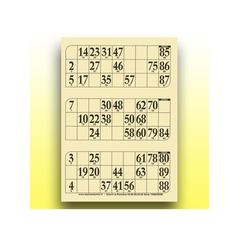 333 grandes plaques de 3 cartons de loto rigides 1 mm - 900 g au Palais du Loto
