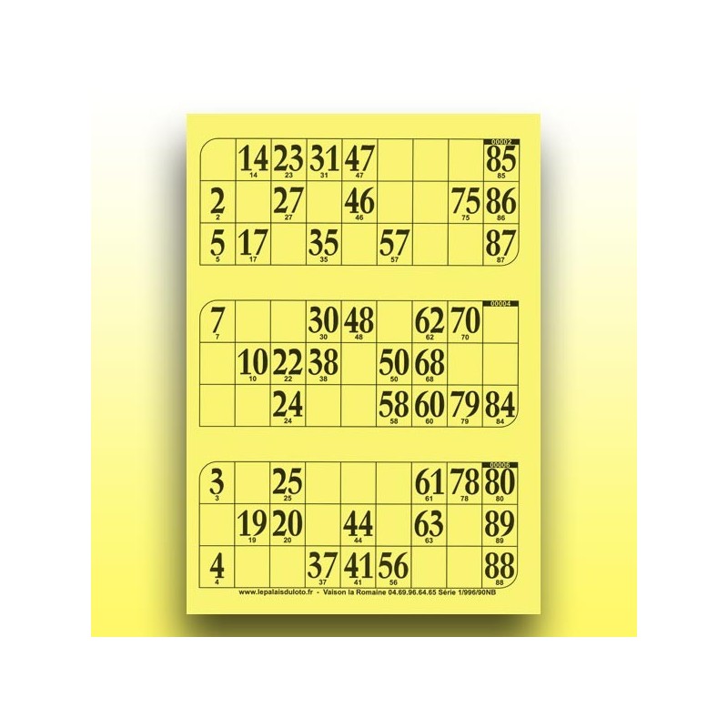 333 grandes plaques de 3 cartons de loto rigides 1 mm - 900 g au Palais du Loto