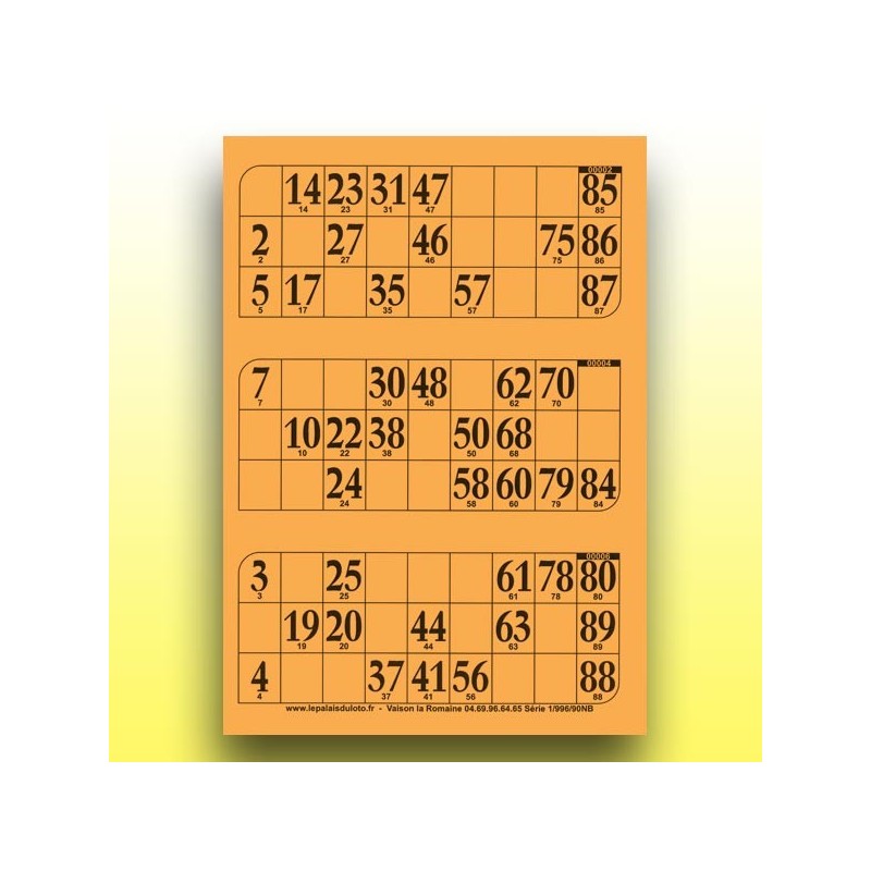 333 grandes plaques de 3 cartons de loto rigides 1 mm - 900 g au Palais du Loto