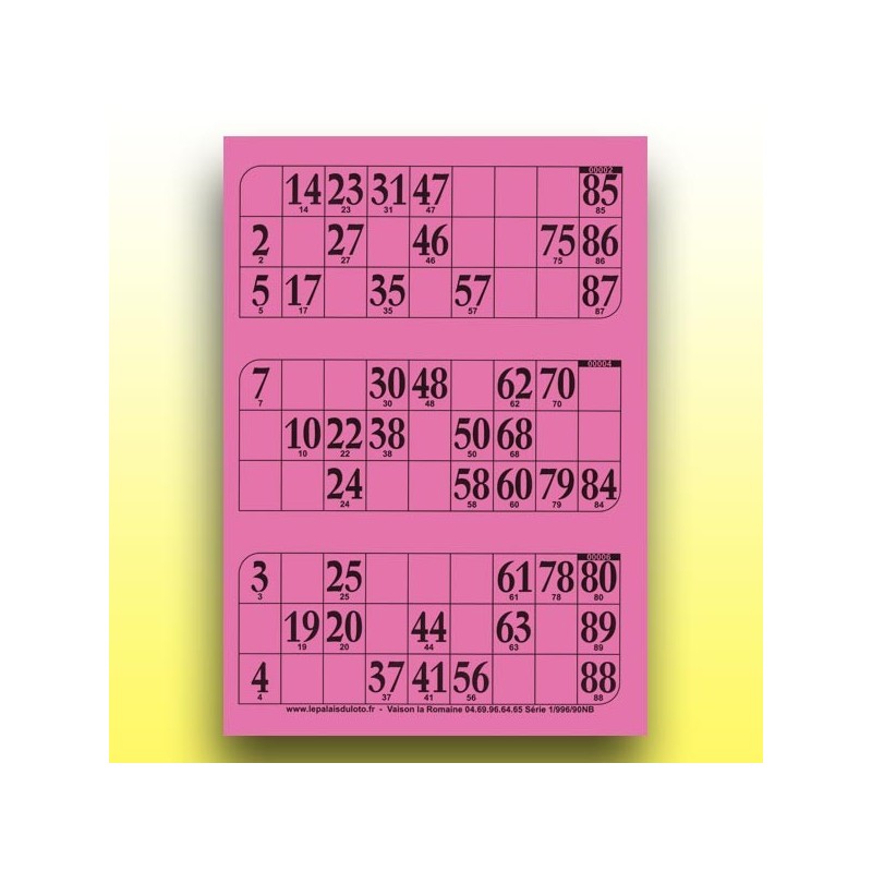 333 grandes plaques de 3 cartons de loto rigides 1 mm - 900 g au Palais du Loto