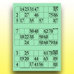 333 grandes plaques de 3 cartons de loto rigides 1 mm - 900 g au Palais du Loto