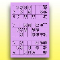 333 grandes plaques de 3 cartons de loto rigides 1 mm - 900 g au Palais du Loto