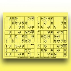 166 plaques de 6 cartons de loto 1 mm - 900 g (90 numéros) au Palais du Loto