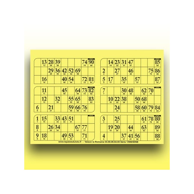 166 plaques de 6 cartons de loto 1 mm - 900 g (90 numéros) au Palais du Loto
