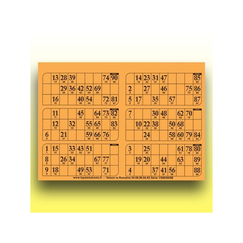 166 plaques de 6 cartons de loto 1 mm - 900 g (90 numéros) au Palais du Loto