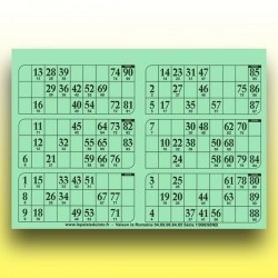 166 plaques de 6 cartons de loto 1 mm - 900 g (90 numéros) au Palais du Loto