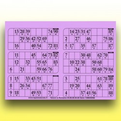 166 plaques de 6 cartons de loto 1 mm - 900 g (90 numéros) au Palais du Loto