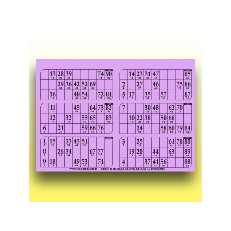 166 plaques de 6 cartons de loto 1 mm - 900 g (90 numéros) au Palais du Loto