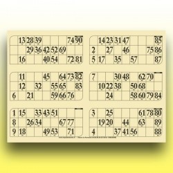 166 grandes plaques de 6 cartons de loto 1 mm - 900 g (90 numéros) au Palais du Loto