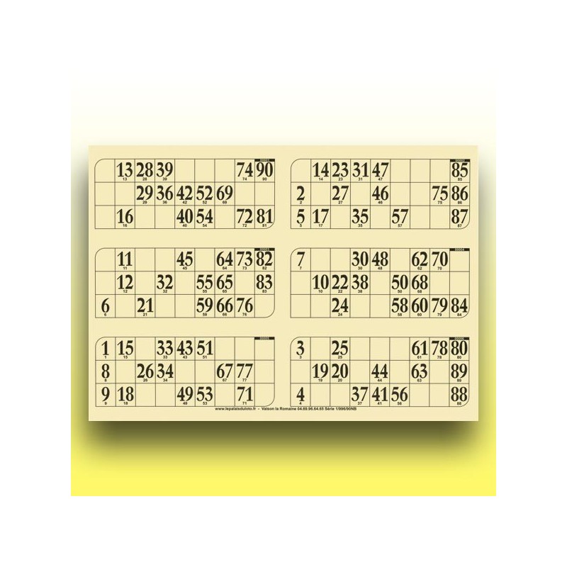 166 grandes plaques de 6 cartons de loto 1 mm - 900 g (90 numéros) au Palais du Loto