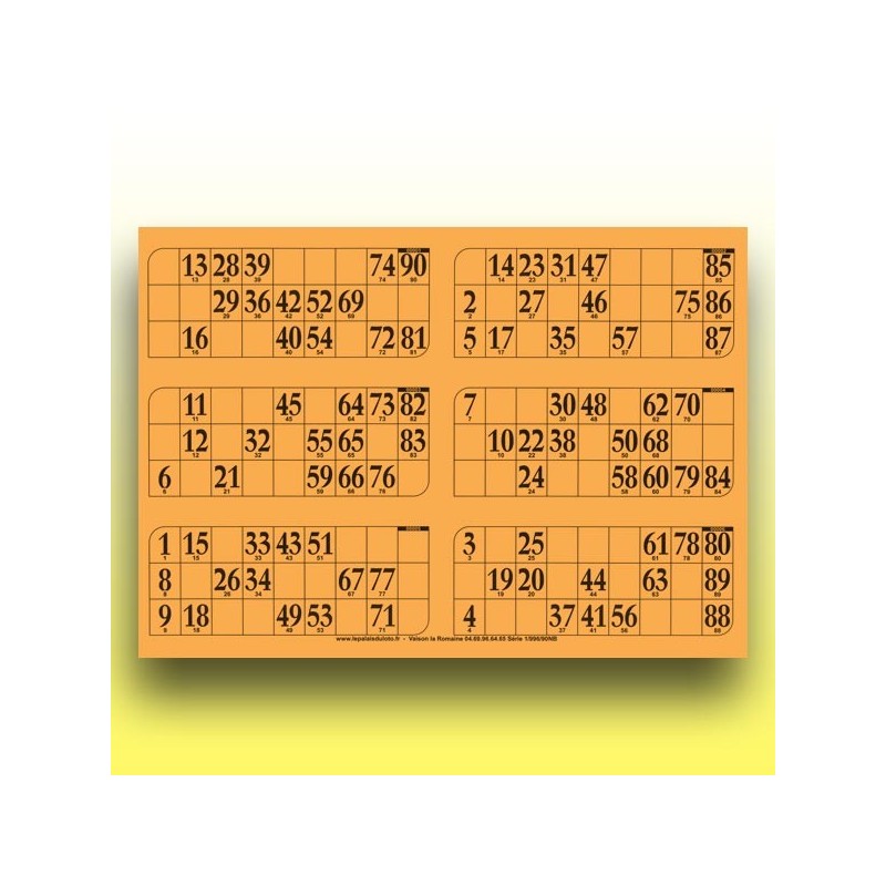 166 grandes plaques de 6 cartons de loto 1 mm - 900 g (90 numéros) au Palais du Loto