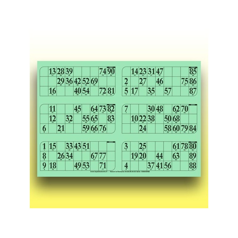 166 grandes plaques de 6 cartons de loto 1 mm - 900 g (90 numéros) au Palais du Loto