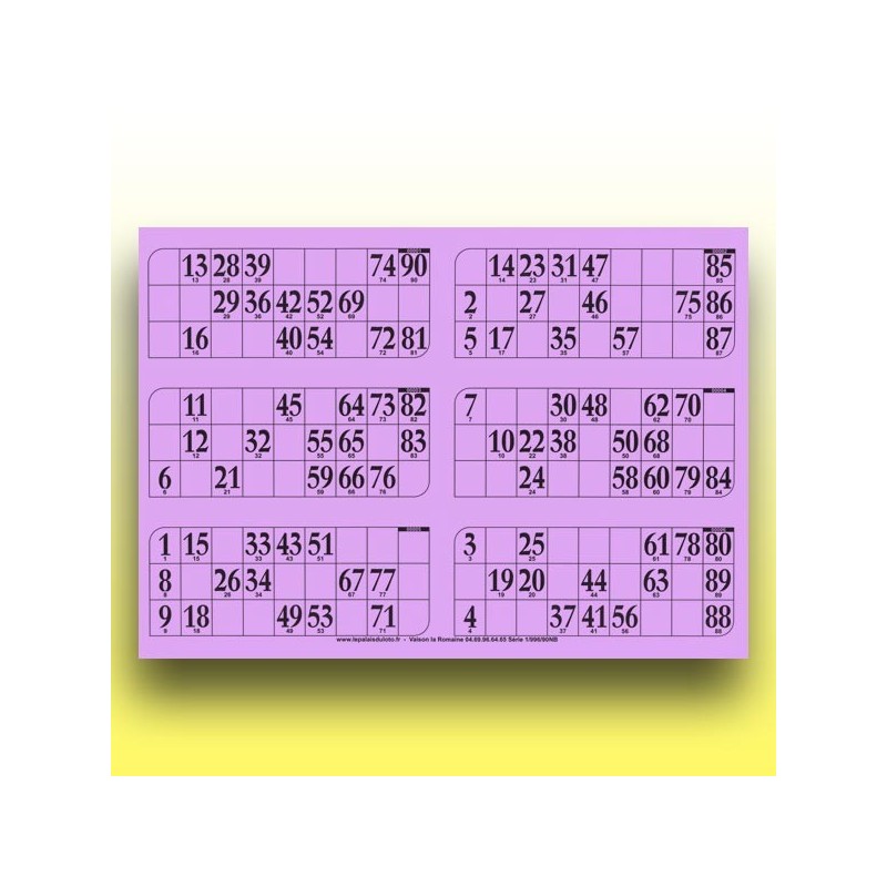 166 grandes plaques de 6 cartons de loto 1 mm - 900 g (90 numéros) au Palais du Loto