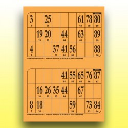 500 plaques de 2 cartons de loto très épaisses 2 mm - 1300 g