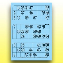 333 grandes plaques de 3 cartons de loto très épaisses 2 mm - 1300 g au Palais du Loto