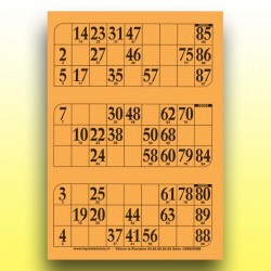 333 grandes plaques de 3 cartons de loto très épaisses 2 mm - 1300 g au Palais du Loto