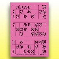 333 grandes plaques de 3 cartons de loto très épaisses 2 mm - 1300 g au Palais du Loto