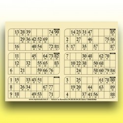 166 plaques de 6 cartons de loto très épaisses 2 mm - 1300 g (90 numéros) au Palais du Loto